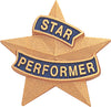 Gold Star Performer Pin [PCM-STR-412]
