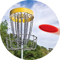Disc Golf Insert [TD-3864]