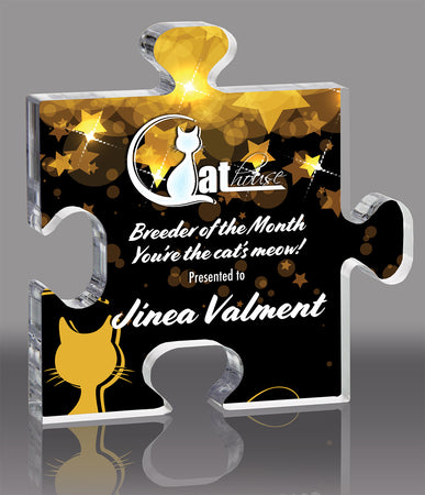 Puzzle Piece Full Color Acrylic Award - 5.25 inch [APZL2-5-FC-Q]