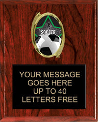 Oval Insert Plaque [POV810]