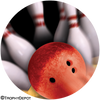 Bowling Motion Insert [TD-2253]