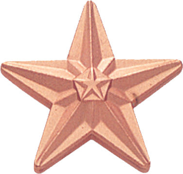 Bronze Star Pin [PCM-STR-199B]