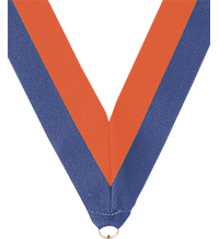 7/8 x 30 in. Blue & Orange Neck Ribbon [NKRB-1063]