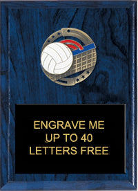 7"x9" Volleyball Dimensional Color Plaque [PEM7-VB]