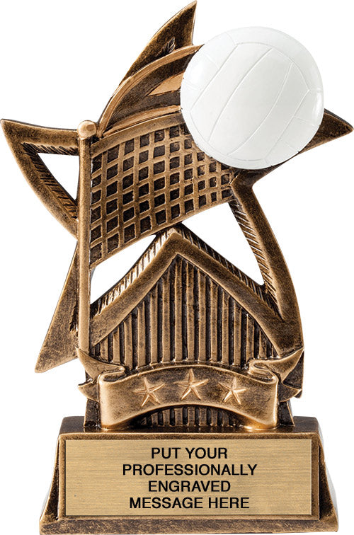 Volleyball Sweeping Star - 6" Trophy [RM16STR-VB]