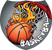 Basketball Flame Shield Insert [SH-2621]
