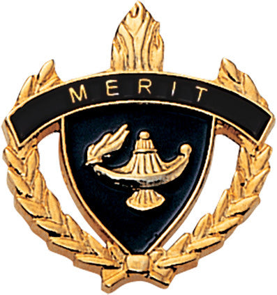 Merit 3D Enameled Scholastic Pin [PCM-WRT-MRT]