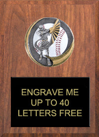 Baseball Motion Extreme Color Plaques