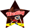 Wrestling: Wrestlers Star Insert [ST-3036]