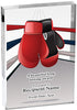 Boxing Vibrix Acrylic Award [A46BV-BX]