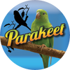 Birds- Parakeet Insert [TD-2441]