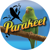 Birds- Parakeet Insert [TD-2441]