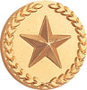 Gold Wreath Framed Star Pin [PCM-STR-476G]