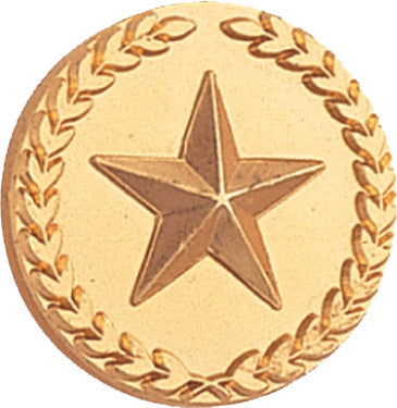 Gold Wreath Framed Star Pin [PCM-STR-476G]
