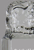 Eagle Crystal Tower Award 9