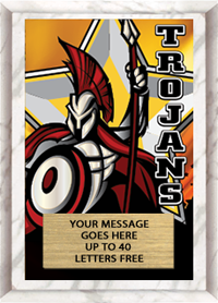 Full Color Plaques [PFCSTK5-MSCT]