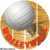 Volleyball- Aerial Insert [TD-1883]