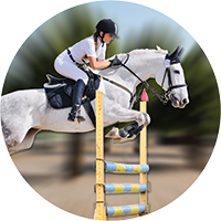 Equestrian Insert [TD-3885]