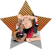 Mixed Martial Arts Star Insert [ST-1090]