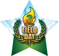 Field Day- 3rd Place Torch Star Insert [ST-1409]
