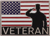 Veteran American Flag Pin [PVET3-S]