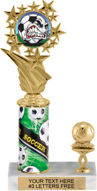 Star Frame Color Insert Trophy with 1 Trim [T1T11i-C96]
