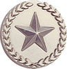 Silver Wreath Framed Star Pin [PCM-STR-476S]