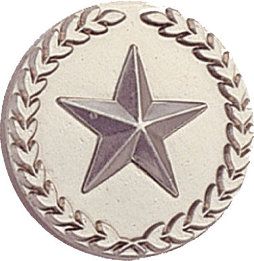Silver Wreath Framed Star Pin [PCM-STR-476S]