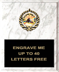 Insert Plaque - 9x12 [P329]