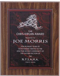 Laser Engraved Plaques with Colored Engraving Plates