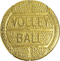 Volleyball Chenille Pin [PCH-06]
