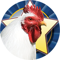 Birds - Chicken Insert [TD-3181]