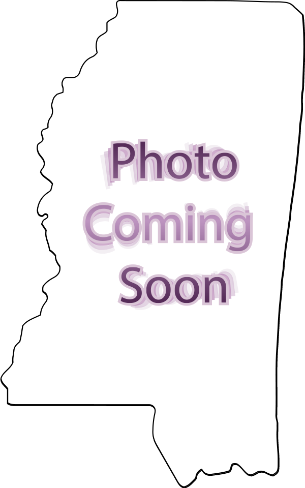 Mississippi Full Color Paperweight Acrylic Award - 5 x 3 [ASTT-MS-FC-Q]