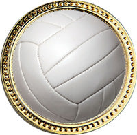 Volleyball Round Insert Pin [P78RI-VB2]
