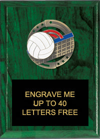 6"x8" Volleyball Dimensional Color Plaque [PEM6-VB]
