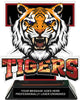 Tigers Mascot Colorix-T Acrylic Trophy [TACR6-MSCT-TGR-Q]