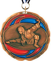 Martial Arts Epoxy Color Medal - Bronze [MEC2-MA-B]