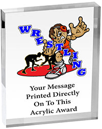 Wrestling Vibrix Acrylic Award [A45BV-WS]