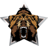 Mascots- Bears Star Insert [ST-2456]