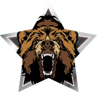 Mascots- Bears Star Insert [ST-2456]