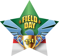 Field Day- 1st Place Eagle Star Insert [ST-1371]
