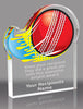 Cricket Splatters Acrylic Award- 5x6 inch [ASLM-56-CRKT-Q]