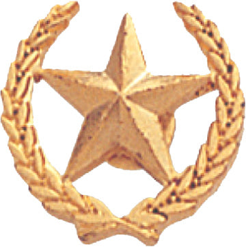 Star & Wreath Gold Pin [PCM-STR-280]