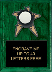 Volleyball Spring Loaded Plaque [PRBI79-VB]