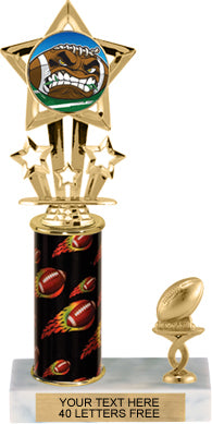 Shooting Star Insert Trophy with 1 Trim [T1T10i-C7S]