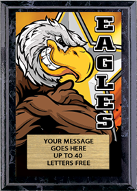 Full Color Plaques [PFCSTK5-MSCT]