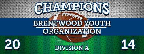 Football 2 x 5 Vinyl Banner- Field [VB-FB-FLD-25]