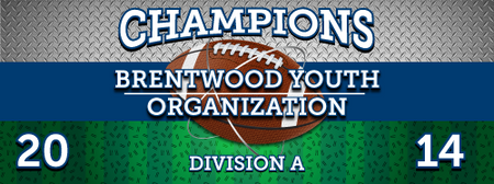 Football 2 x 5 Vinyl Banner- Field [VB-FB-FLD-25]