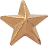 Gold Star Pin [PCM-STR-290]
