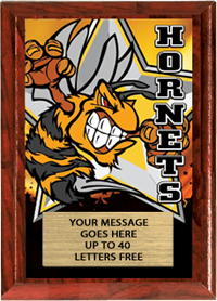 Full Color Plaques [PFCSTK5-MSCT]